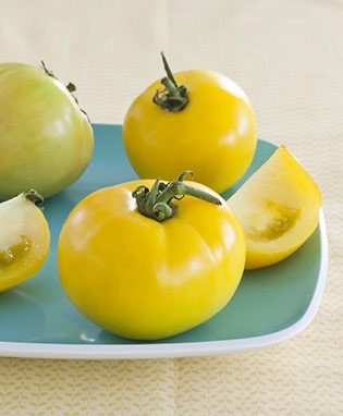 Lemon Boy Yellow Tomato